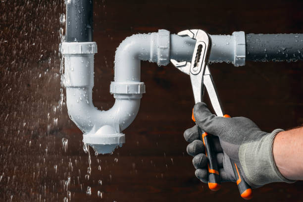 Professional Leak Detection technician working in Milan, MI